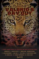 Watch Valerio\'s Day Out (Short 2019) Zmovies