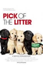 Watch Pick of the Litter Zmovies