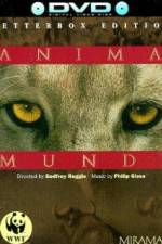 Watch Anima Mundi Zmovies