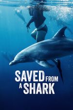 Watch Saved from a Shark Zmovies