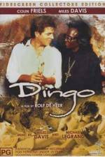 Watch Dingo Zmovies