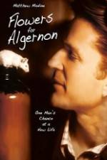 Watch Flowers for Algernon Zmovies