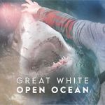 Watch Great White Open Ocean Zmovies