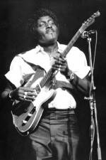 Watch Albert Collins in Concert Zmovies