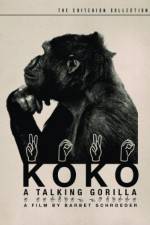 Watch Koko, le gorille qui parle Zmovies