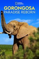 Watch Gorongosa: Paradise Reborn (Short 2022) Zmovies