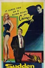 Watch Sudden Danger Zmovies