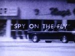 Watch Spy on the Fly (Short 1967) Zmovies