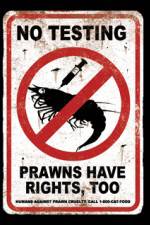 Watch Wikus and Charlize Zmovies