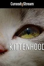 Watch Kittenhood Zmovies