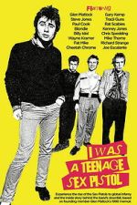 Watch I Was a Teenage Sex Pistol Zmovies