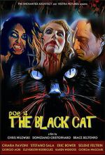 Watch POE 4: The Black Cat Zmovies