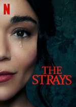 Watch The Strays Zmovies