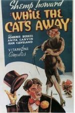 Watch While the Cat\'s Away Zmovies