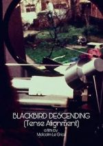 Watch Blackbird Descending Zmovies