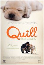Watch Quill: The Life of a Guide Dog Zmovies