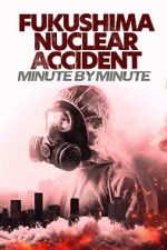 Watch Fukushima Nuclear Accident - Minute by minute Zmovies