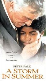 Watch A Storm in Summer Zmovies