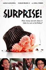 Watch The Surprise! Zmovies