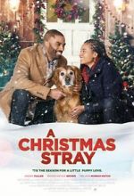 Watch A Christmas Stray Zmovies