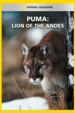 Watch National Geographic  Puma: Lion of the Andes Zmovies