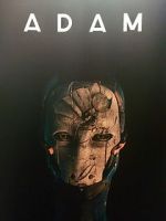 Watch Adam Zmovies
