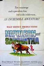Watch Napoleon and Samantha Zmovies