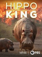 Watch Hippo King Zmovies
