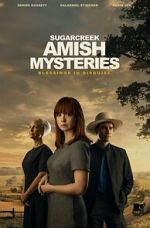 Watch Sugarcreek Amish Mysteries: Blessings in Disguise Zmovies