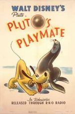 Watch Pluto\'s Playmate Zmovies