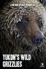 Watch Yukon\'s Wild Grizzlies Zmovies