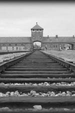 Watch AUSCHWITZ: ORDERS AND INITIATIVES Zmovies