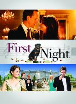 Watch 1st Night Zmovies