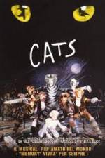 Watch Cats Zmovies