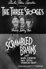 Watch Scrambled Brains Zmovies