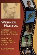 Watch Die groe Ekstase des Bildschnitzers Steiner Zmovies