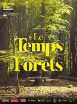 Watch The Time of Forests Zmovies