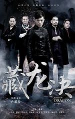 Watch Hidden Dragon Battle Zmovies