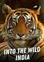 Watch Into the Wild India Zmovies