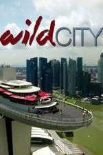 Watch Wild City Zmovies