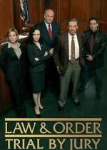 Watch Law & Order: Trial by Jury Zmovies