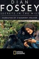 Watch Dian Fossey: Secrets in the Mist Zmovies