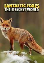Watch Fantastic Foxes: Their Secret World Zmovies