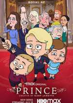 Watch The Prince Zmovies