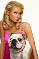 Watch Paris Hilton's British Best Friend Zmovies