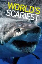 Watch World's Scariest... Zmovies