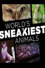 Watch World's Sneakiest Animals Zmovies