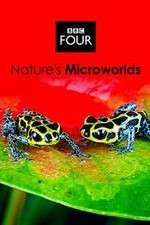 Watch Natures Microworlds Zmovies