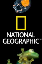 Watch Nat Geo Amazing! Zmovies