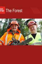 Watch The Forest Zmovies